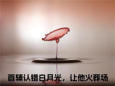 小说《首辅认错白月光，让他火葬场》全文免费阅读无弹窗-韩屹柳慕杨小说全文在线赏析_笔趣阁