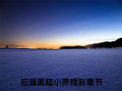 应渊离陆小奈（蛇婚）全文免费阅读无弹窗大结局_蛇婚小说最新章节列表_笔趣阁(应渊离陆小奈）