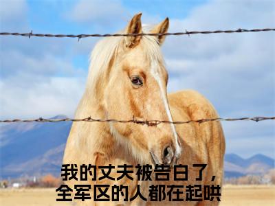 沈嘉鱼顾京彰小说（我的丈夫被告白了，全军区的人都在起哄）全文免费阅读无弹窗大结局_沈嘉鱼顾京彰小说免费阅读最新章节列表笔趣阁（我的丈夫被告白了，全军区的人都在起哄）