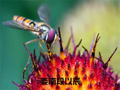 姜南段以辰全文免费阅读(姜南段以辰)全文免费阅读无弹窗大结局_(姜南段以辰)姜南段以辰小说免费阅读无弹窗最新章节列表_笔趣阁(姜南段以辰)
