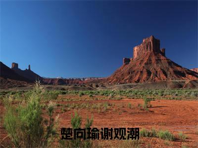 楚向瑜谢观潮（楚向瑜谢观潮）全文免费阅读无弹窗大结局_(楚向瑜谢观潮最新章节在线阅读)_笔趣阁