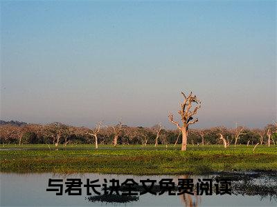 沐梓沐潇潇(与君长诀)小说精彩免费内容_沐梓沐潇潇与君长诀最新章节全文阅读（与君长诀）