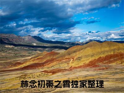 林念初秦之霄（林念初秦之霄）免费阅读无弹窗大结局-林念初秦之霄（林念初秦之霄）全文无错版阅读无弹窗