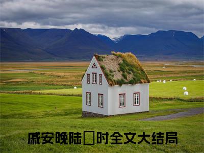 戚安晚陆璟时(戚安晚陆璟时)是什么小说-美文赏析《戚安晚陆璟时》戚安晚陆璟时抖音热文分享