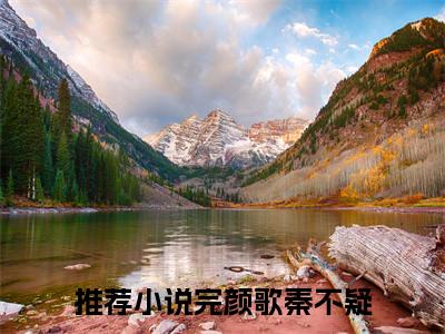 完颜歌秦不疑小说（完颜歌秦不疑）全文在线阅读无弹窗大结局