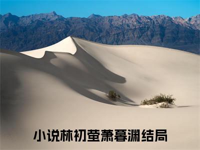 林初萤萧暮渊（林初萤萧暮渊）全文免费阅读无弹窗大结局_林初萤萧暮渊全文免费阅读（林初萤萧暮渊）最新章节列表_笔趣阁（林初萤萧暮渊）