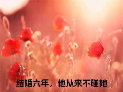 小说秦知勉沈念潇最新章节免费阅读_结婚六年，他从来不碰她全文赏析完整版