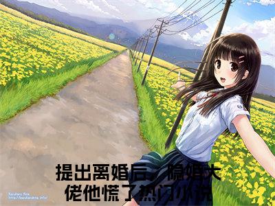 小说黎斐傅零珩最新章节阅读 提出离婚后，隐婚大佬他慌了知乎推文