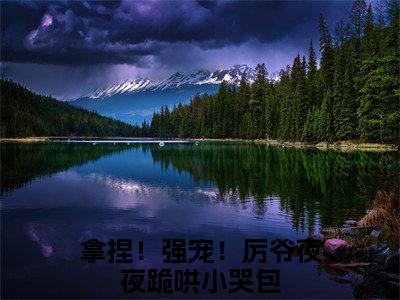 拿捏！强宠！厉爷夜夜跪哄小哭包精彩章节 小说慕璃厉煌全文无删减版