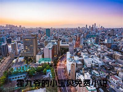 （霍九爷的小宝贝）是什么小说-（霍洲御叶心儿）无弹窗免费阅读大结局最新章节列表_笔趣阁