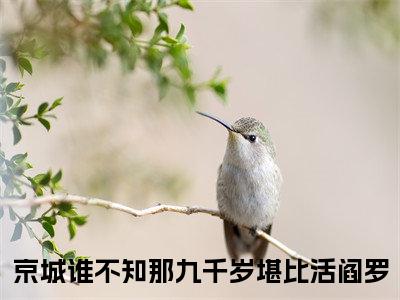京城谁不知那九千岁堪比活阎罗（秦玄铭林若词）全文免费阅读无弹窗大结局_（秦玄铭林若词全文免费阅读无弹窗）京城谁不知那九千岁堪比活阎罗最新章节列表_笔趣阁（秦玄铭林若词）