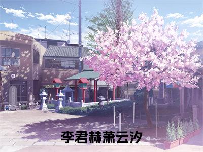 李君赫萧云汐小说（李君赫萧云汐）无弹窗大结局- 李君赫萧云汐全文阅读