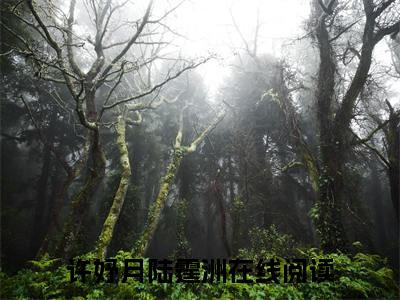 第一世，她用错了方式许妤月陆霆洲免费小说-许妤月陆霆洲（第一世，她用错了方式）已更新最新章节