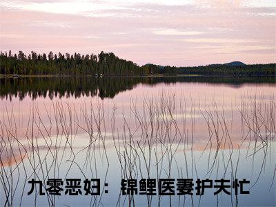 主角是顾祯鸣苏清虞的小说叫什么名字 九零恶妇：锦鲤医妻护夫忙精彩结局阅读