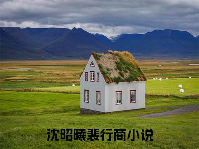 沈昭曦裴行商免费章节阅读-沈昭曦裴行商小说全文免费阅读