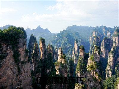 金牌小说推荐伍玖顾魏诗巧-伍玖顾魏诗巧结局是什么