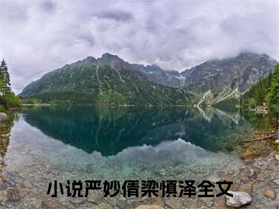 小说推荐严妙倩梁慎泽精彩章节全文阅读-（严妙倩梁慎泽）新书热荐免费小说