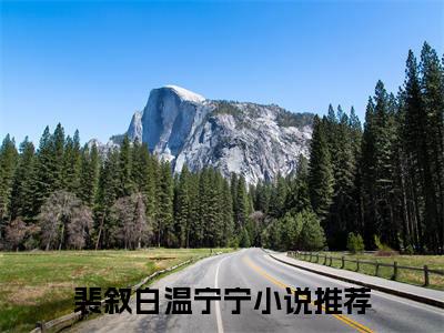 裴叙白温宁宁（裴叙白温宁宁）小说全文免费阅读-裴叙白温宁宁在线阅读的小说完整版