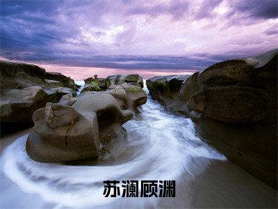苏澜顾渊小说（苏澜顾渊）最新章节阅读-苏澜顾渊最新热点小说