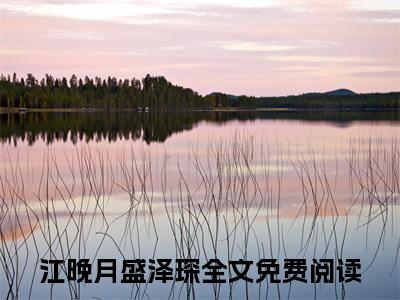 江晚月盛泽琛在线阅读-正版小说《江晚月盛泽琛》江晚月盛泽琛全文阅读