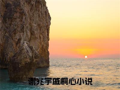 【热门】《谢兆宇戚桐心》书名是谢兆宇戚桐心全文免费阅读已完结