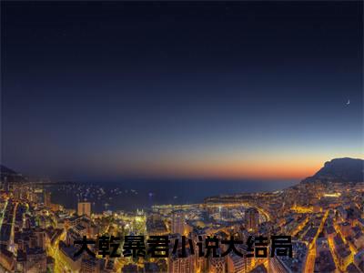 赵善无广告免费阅读-小说大乾暴君最后结局如何