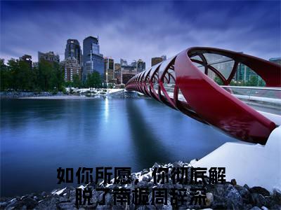 如你所愿，你彻底解脱了全文免费阅读无弹窗大结局_(南栀周辞深阅读全文大结局)如你所愿，你彻底解脱了最新章节列表（南栀周辞深）