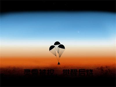 灵骨被挖，觉醒后烧了全家户口本（盛灵澜祝九溟）全文免费阅读大结局-灵骨被挖，觉醒后烧了全家户口本最新章节列表笔趣阁