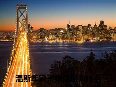 温斯年宋京姝免费阅读 温斯年宋京姝结局是什么