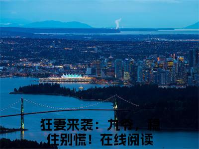狂妻来袭：九爷，稳住别慌！的小说（何以安傅聿城）免费阅读_狂妻来袭：九爷，稳住别慌！小说免费阅读-笔趣阁（何以安傅聿城）