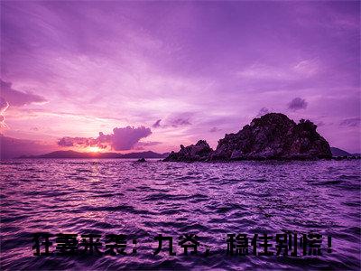 傅聿城何以安(狂妻来袭：九爷，稳住别慌！后续)全文免费阅读无弹窗大结局_(狂妻来袭：九爷，稳住别慌！后续免费阅读全文大结局)最新章节列表_笔趣阁（傅聿城何以安）