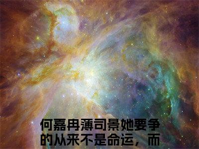 她要争的从来不是命运，而是他的心小说大结局全文免费阅读-抖音小说何嘉冉薄司景