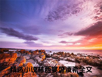 林西宴盛凌希（林西宴盛凌希）全文在线阅读免费大结局_林西宴盛凌希最新章节列表_笔趣阁（林西宴盛凌希）