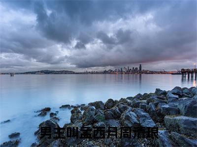 孟西月周清琅全文免费阅读无弹窗大结局_孟西月周清琅小说免费阅读完整版全文大结局