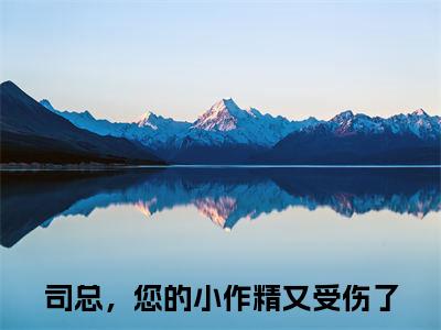 司总，您的小作精又受伤了(简星尘司墨寒)抖音热推小说全集无删减,简星尘司墨寒小说在线免费阅读大结局