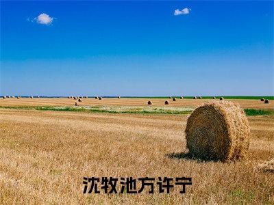 沈牧池方许宁小说全文阅读-（沈牧池方许宁）小说大结局