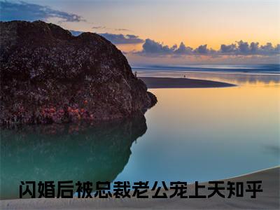 姜柠程楼（闪婚后被总裁老公宠上天）小说全文免费阅读正版无弹窗_(闪婚后被总裁老公宠上天)免费阅读无弹窗最新章节列表_笔趣阁