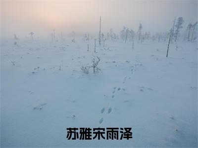 苏雅宋雨泽小说免费阅读-苏雅宋雨泽全文小说全章节阅读