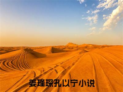 姜瑾琛孔以宁小说免费阅读无弹窗《姜瑾琛孔以宁》_姜瑾琛孔以宁全文阅读
