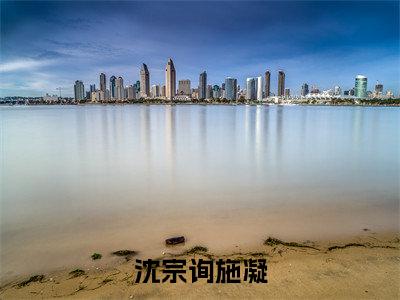 沈宗询施凝小说（沈宗询施凝）全文免费阅读无弹窗大结局_沈宗询施凝小说最新章节列表_笔趣阁（沈宗询施凝）