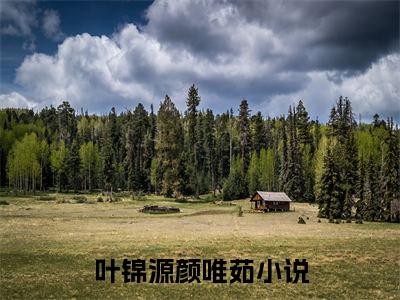 叶锦源颜唯茹全本资源免费阅读结局无删节-叶锦源颜唯茹小说全文阅读无弹窗