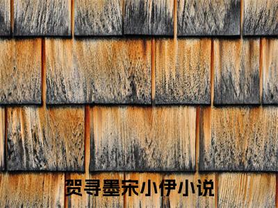 贺寻墨宋小伊（贺寻墨宋小伊 ）全文免费阅读_贺寻墨宋小伊言诺诺,井傅宸 小说最新章节列表笔趣阁