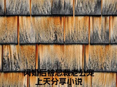 闪婚后被总裁老公宠上天小说（姜柠程楼）全文免费阅读无弹窗大结局_闪婚后被总裁老公宠上天全文免费完结版阅读（姜柠程楼）
