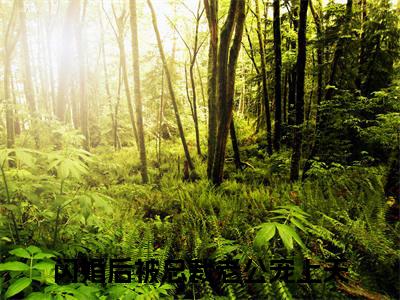 闪婚后被总裁老公宠上天（姜柠程楼）全文免费阅读无弹窗_姜柠程楼最新小说