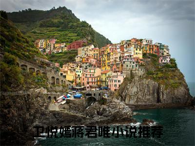 热门小说推荐卫悦嫣蒋君唯-卫悦嫣蒋君唯全文免费大结局