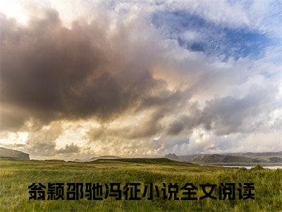 小说翁颖邵驰冯征（虔徒小说免费阅读）完结阅读，翁颖邵驰冯征在线阅读
