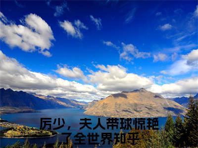 小说南向婉厉寒风厉少，夫人带球惊艳了全世界求书热文免费阅读-南向婉厉寒风小说分享全文厉少，夫人带球惊艳了全世界