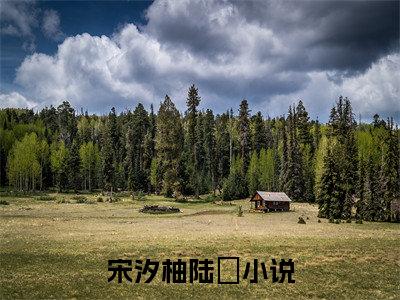 宋汐柚陆昇(宋汐柚陆昇)全文免费阅读无弹窗大结局_(宋汐柚陆昇)小说免费阅读无弹窗最新章节列表_笔趣阁