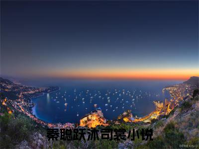 秦聪跃沐司裳新书热荐免费小说全文完整版-小说精选片段阅读
