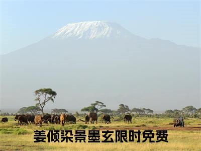 小说《姜倾染景墨玄》全文免费阅读无弹窗-姜倾染景墨玄小说全文在线赏析_笔趣阁